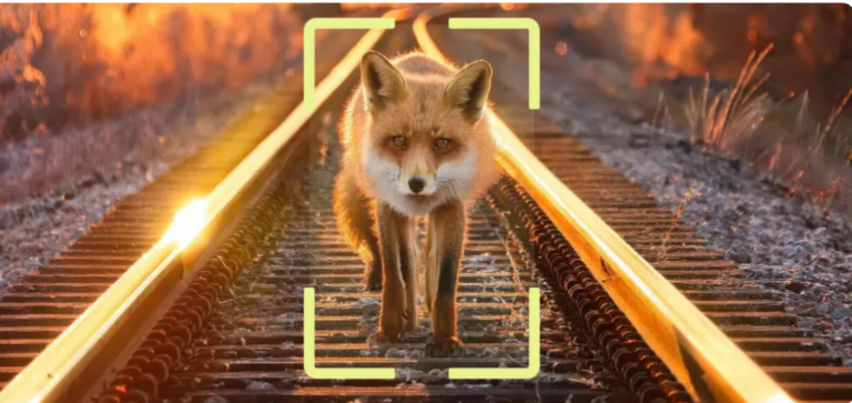 🇸🇪 Alstom and Flox Intelligence Test AI Wildlife Detection System on Swedish Railways