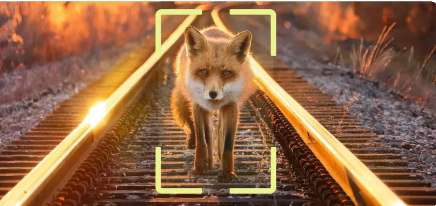 🇸🇪 Alstom and Flox Intelligence Test AI Wildlife Detection System on Swedish Railways